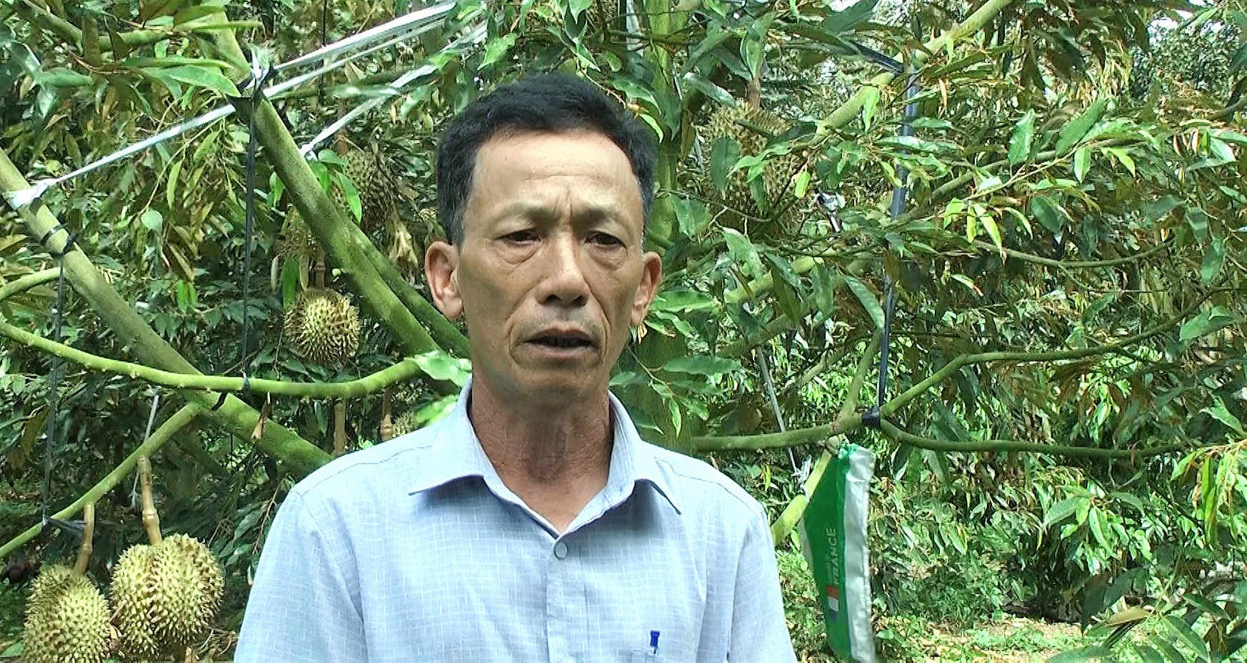 HANHBUI DRT5053.00_55_18_08.Still120